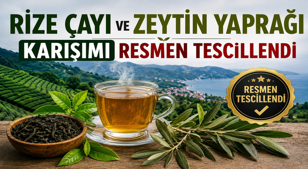 Rize Çayı ve Zeytin Yaprağı Karışımı