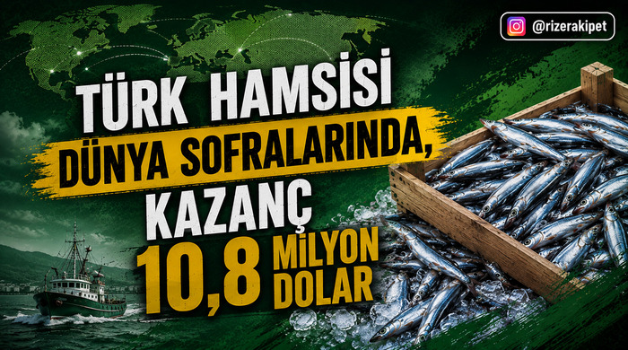 Türk Hamsisi Dünya Sofralarında, Kazanç 10,8 Milyon Dolar